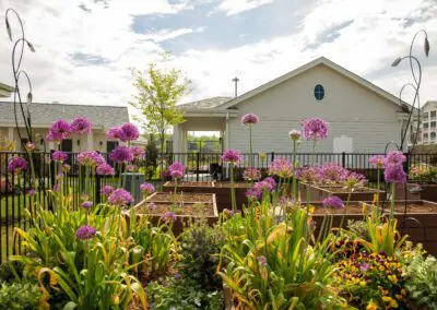 Outdoors - Community Garden