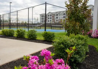 Outdoors - Pickleball Court